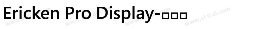 Ericken Pro Display字体转换